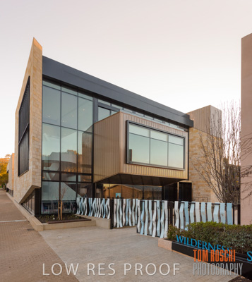 July 2020 / WILDERNESS_042