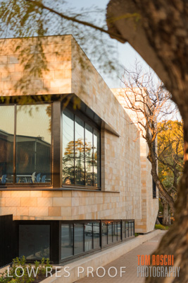 July 2020 / WILDERNESS_048