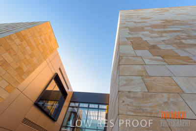 July 2020 / WILDERNESS_061