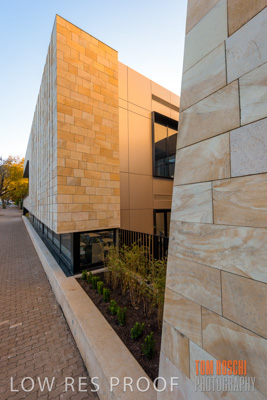 July 2020 / WILDERNESS_062