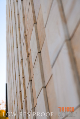 July 2020 / WILDERNESS_064