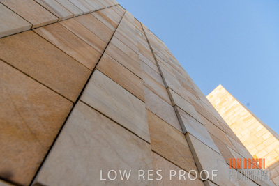 July 2020 / WILDERNESS_065