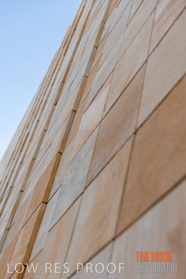 July 2020 / WILDERNESS_069