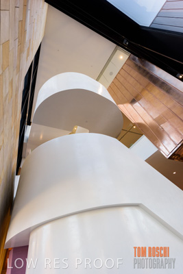 July 2020 / WILDERNESS_073