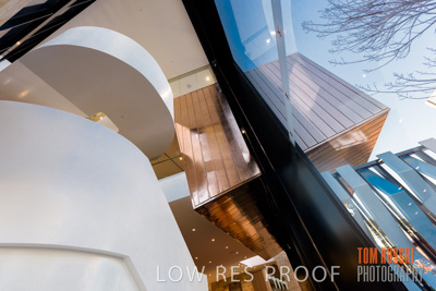 July 2020 / WILDERNESS_074