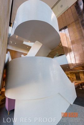 July 2020 / WILDERNESS_076