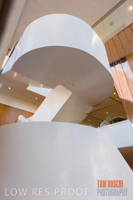 July 2020 / WILDERNESS_078