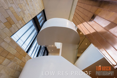 July 2020 / WILDERNESS_079