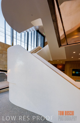 July 2020 / WILDERNESS_080