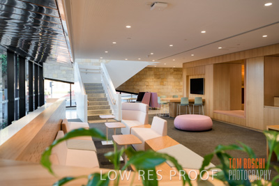 July 2020 / WILDERNESS_083