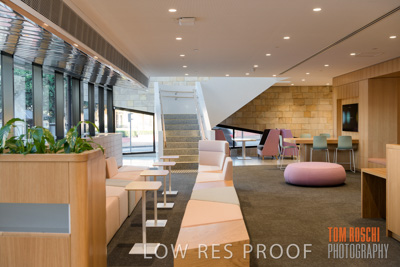 July 2020 / WILDERNESS_084