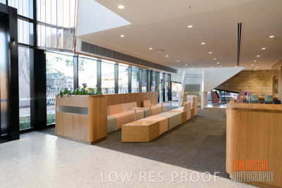 July 2020 / WILDERNESS_085