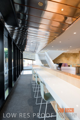 July 2020 / WILDERNESS_086