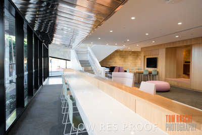 July 2020 / WILDERNESS_087