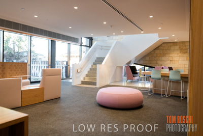 July 2020 / WILDERNESS_090