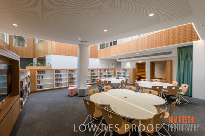 July 2020 / WILDERNESS_093