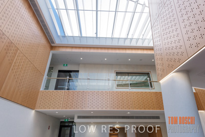 July 2020 / WILDERNESS_095