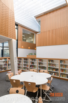 July 2020 / WILDERNESS_100