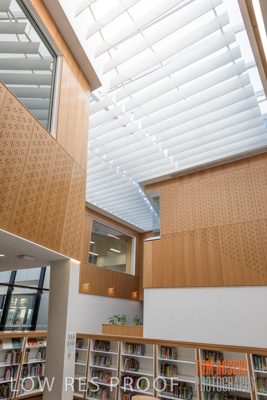 July 2020 / WILDERNESS_102