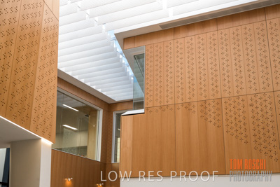 July 2020 / WILDERNESS_104