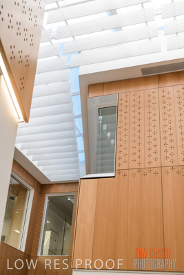 July 2020 / WILDERNESS_105