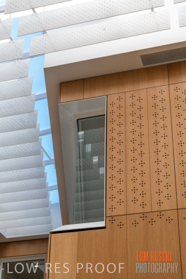 July 2020 / WILDERNESS_106