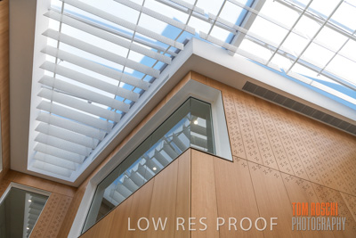 July 2020 / WILDERNESS_107