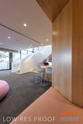 July 2020 / WILDERNESS_110