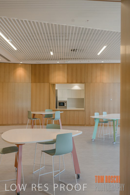 July 2020 / WILDERNESS_131