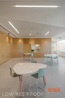 July 2020 / WILDERNESS_132