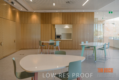 July 2020 / WILDERNESS_133