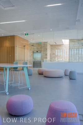 July 2020 / WILDERNESS_137