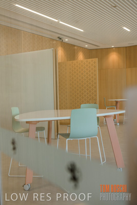 July 2020 / WILDERNESS_147