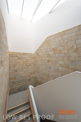 July 2020 / WILDERNESS_157