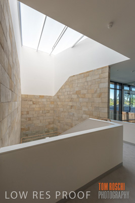 July 2020 / WILDERNESS_159