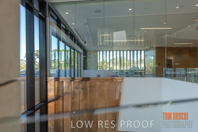 July 2020 / WILDERNESS_161