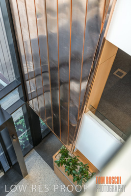 July 2020 / WILDERNESS_162