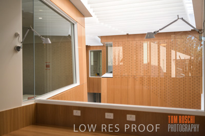 July 2020 / WILDERNESS_170