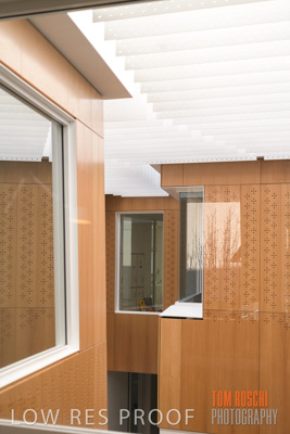 July 2020 / WILDERNESS_171