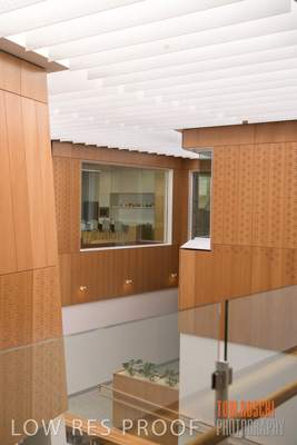 July 2020 / WILDERNESS_172