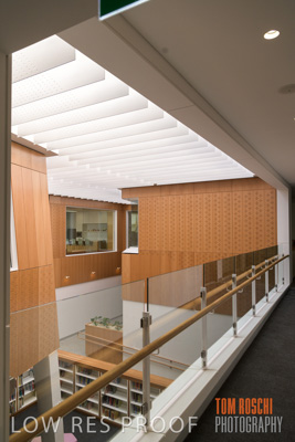 July 2020 / WILDERNESS_173