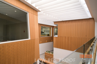 July 2020 / WILDERNESS_174