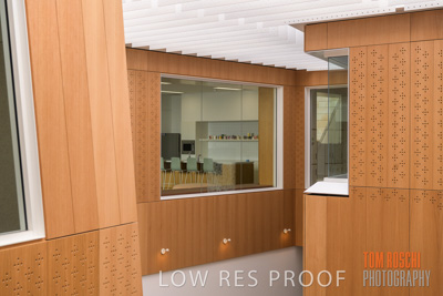 July 2020 / WILDERNESS_175