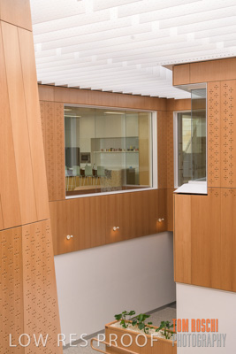 July 2020 / WILDERNESS_176