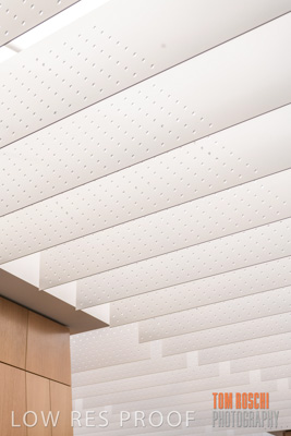 July 2020 / WILDERNESS_177