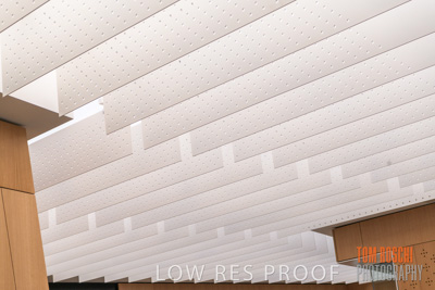 July 2020 / WILDERNESS_178