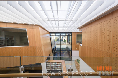 July 2020 / WILDERNESS_180