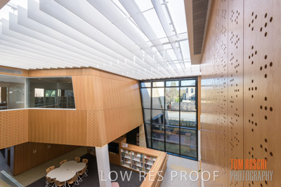 July 2020 / WILDERNESS_183