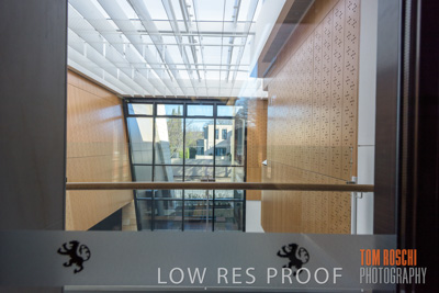 July 2020 / WILDERNESS_184