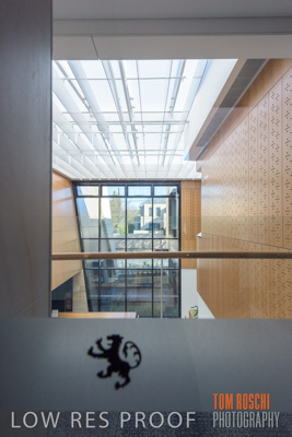 July 2020 / WILDERNESS_185